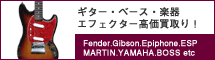 �M�^�[�E�x�[�X�E�G�t�F�N�^�[���������E�t�F���_�[�E�M�u�\���E�G�s�t�H���EESP�E���}�n�E�{�X